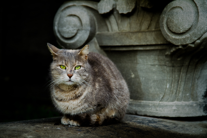 gatekeeper